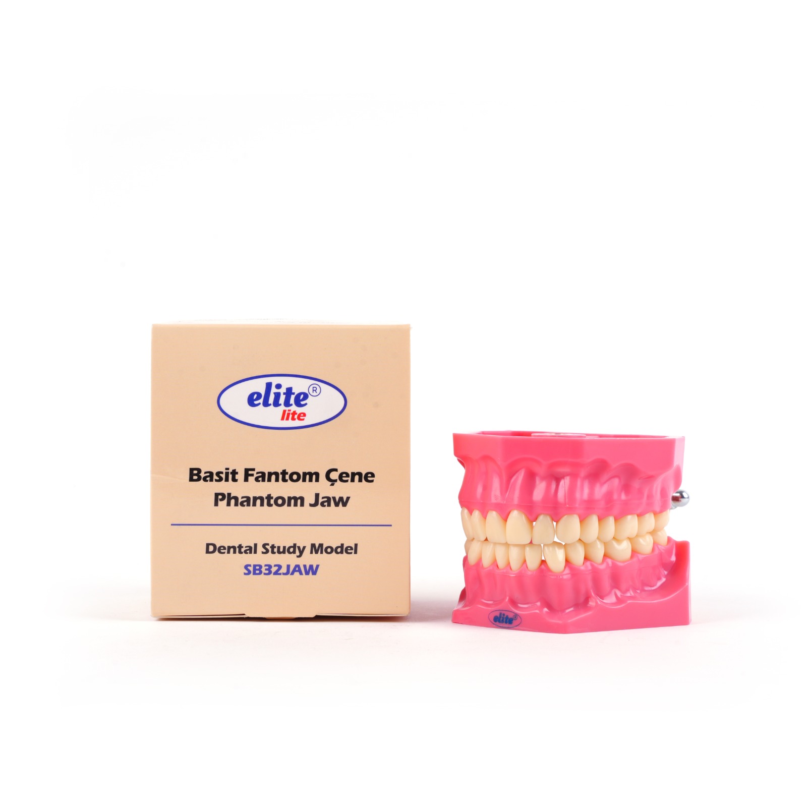 BASİT FANTOM ÇENE